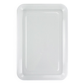 Plastic Tray RPET Transparent 46x30cm (50 Units) 