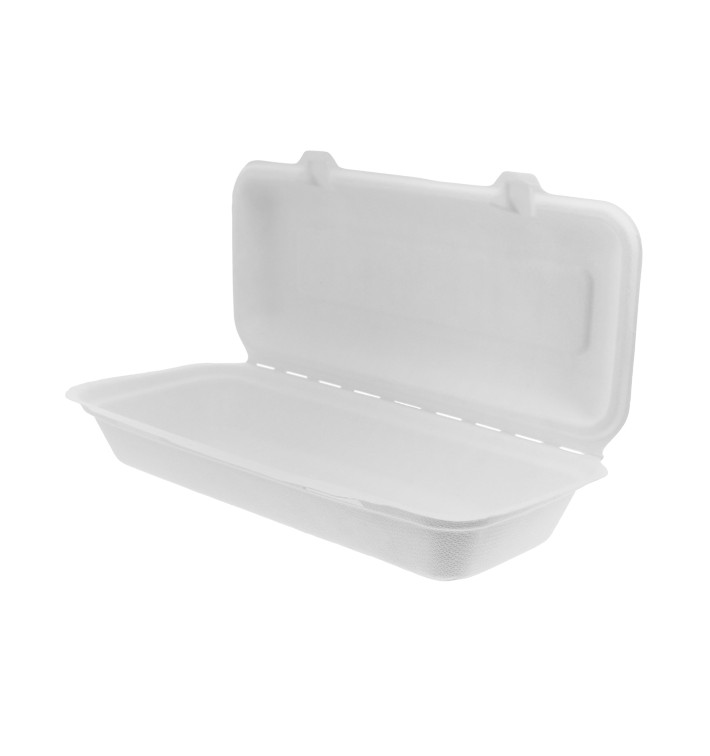 Sugarcane Panini Container 29x27,3x3,75cm (200 Units) 