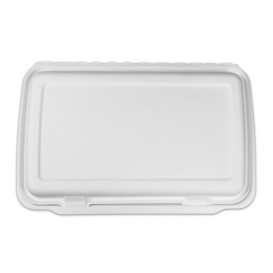 Sugarcane Panini Container 3C 38x48,3x6,15cm (100 Units) 