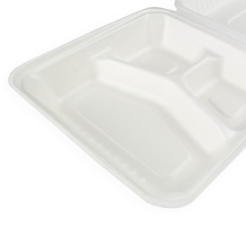 Sugarcane Hinged Container + PLA White 3C 23x23x7,5cm (50 Units)