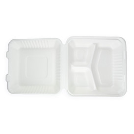 Sugarcane Hinged Container + PLA White 3C 23x23x7,5cm (50 Units)