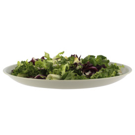 Reusable Plate Premium PP Mineral Grey Ø27,5cm (54 Units)