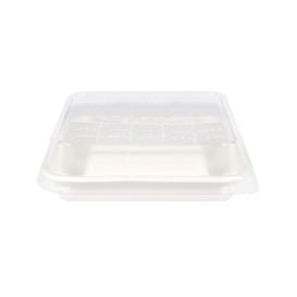 PLA Lid for Sugarcane Food Container 18,5x18,5cm (50 Units)