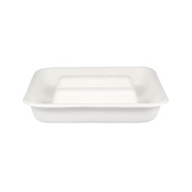 Sugarcane Taco Container White 18,5x18,5cm (50 Units)