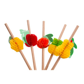 Paper Straw Straight Fruits Ø0,6cm 23cm (2.400 Units)