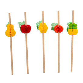 Paper Straw Straight Fruits Ø0,6cm 23cm (24 Units)