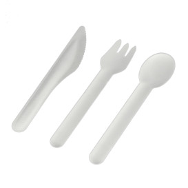 Sugarcane Spoon White 16cm (50 Units)