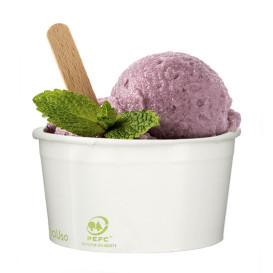 Paper Ice Cream Container Eco-Friendly 310ml (50 Units) 