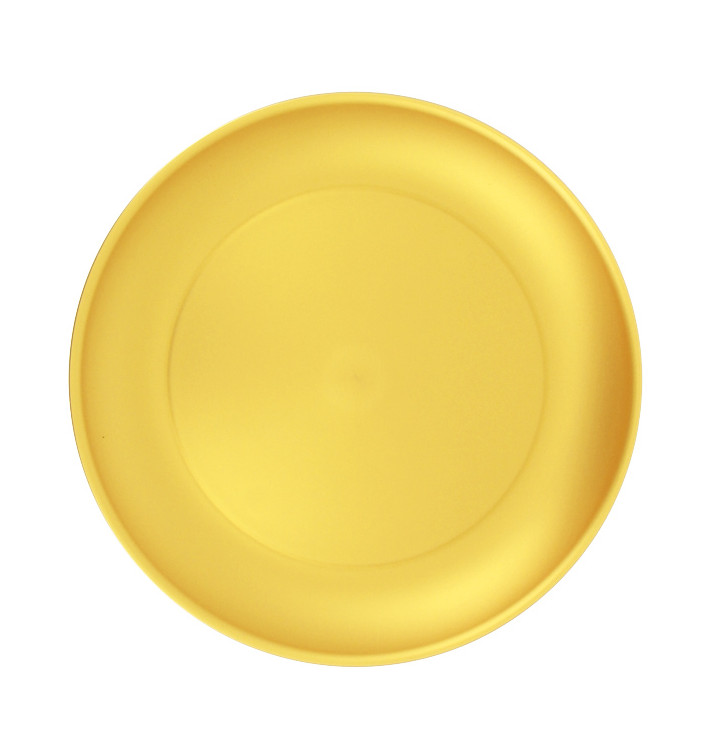 reusable plastic plates