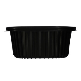 Plastic Container PP Rectangular Shape 450ml 14,2x11,1x6cm (80 Units)  