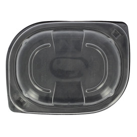 Plastic Lid Translucent Container PP 250/350 and 450ml 14,2x11,1x2cm (20 Units) 