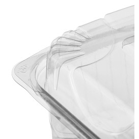 Clamshell Deli Container PLA 20,0x20,0x7,5cm (160 Units)