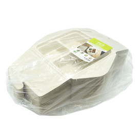 Package Sugarcane MenuBox 3C 21x21x4cm 900ml (50 Units)