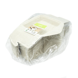 Package Sugarcane MenuBox 21x21x4cm 1350ml (50 Units)