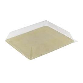 Plastic Lid PET 27x20cm (10 Units)