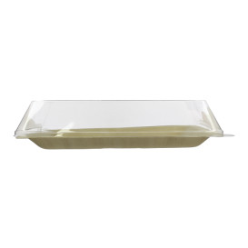 Plastic Lid PET 27x20cm (10 Units)