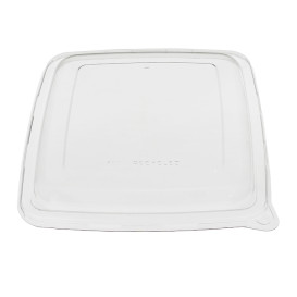 Plastic Lid PET for Container 23x23cm (75 Units) 