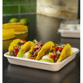 Sugarcane Taco Container White 18,5x18,5cm (50 Units)