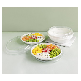 Sugarcane Bowl Bagasse White 470ml (800 Units)