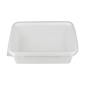 Plastic Container with Lid 15,7x11,2x5,1cm 500ml (600 Units)