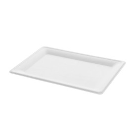 Sugarcane Tray White 20x28 cm (320 Units)