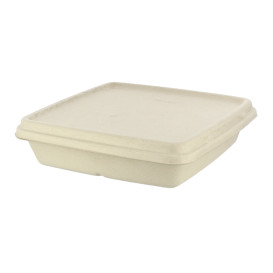 Sugarcane Lid for Container 23x23cm (75 Units)  