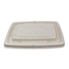 Sugarcane Lid for Container 23x16,5cm (75 Units)  