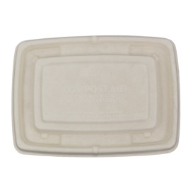 Sugarcane Lid for Container 23x16,5cm (75 Units)  