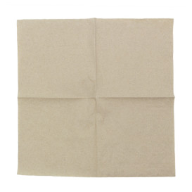 Paper Napkins Eco-Friendly 20x20cm 2C (6.000 Units)