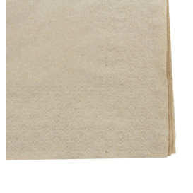 Paper Napkins Eco-Friendly 20x20cm 2C (6.000 Units)