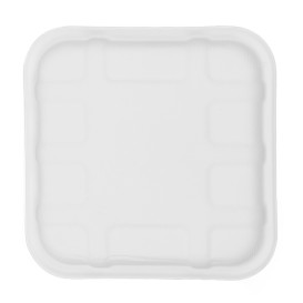 Sugar Cane Tray 14,1x14,1cm (50 Units) 