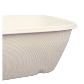 Sugarcane Bowl 1000ml 17x17x7cm (300 Units)