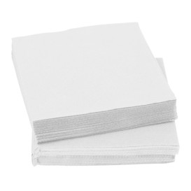 Paper Napkin Micropoint White 20x20cm 2C (2.400 Units)