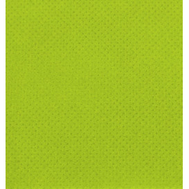 Paper Napkin Micropoint Pistachio 20x20cm 2C (3.240 Units)