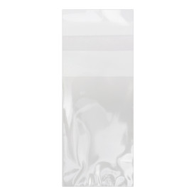 Plastic Bag with Adhesive Flap Cellophane 4x6cm G-160 (100 Units)  