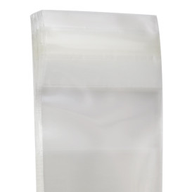 Plastic Bag with Adhesive Flap Cellophane 4x6cm G-160 (100 Units)  