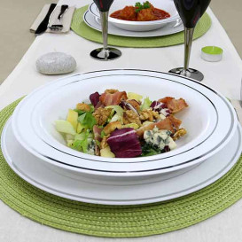 Plastic Plate Extra Rigid Deep with Border Silver 23cm (200 Units)