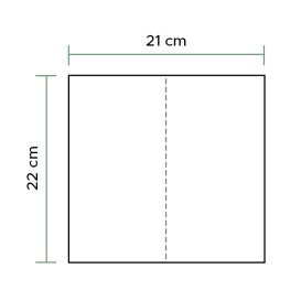 Paper Towel Tissue Eco 2 Layers Z folding (190 Units)