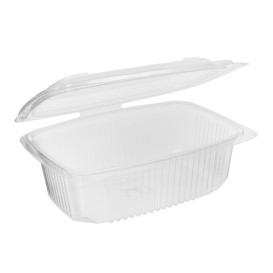 Plastic Container Microwave PP Transparente 800ml 18,5x13,5cm (300 Units)