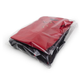 Plastic Bags Adhesive Flap CPP G160 35x45cm (1000 Units)