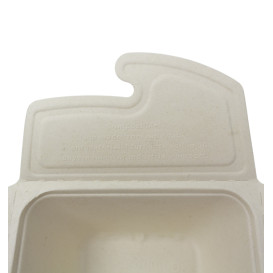 Package Sugarcane Box to Go 17x13x7cm 750ml. (50 Units)