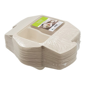 Package Sugarcane Box to Go 2C 21x15x5cm 800ml (50 Units)