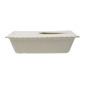 Package Sugarcane Box to Go 21x15x5cm 1000ml. (50 Units)