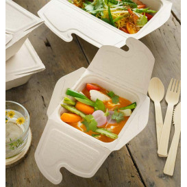 NEW: BePulp MEAL BOX TO GO packaging - Sabert