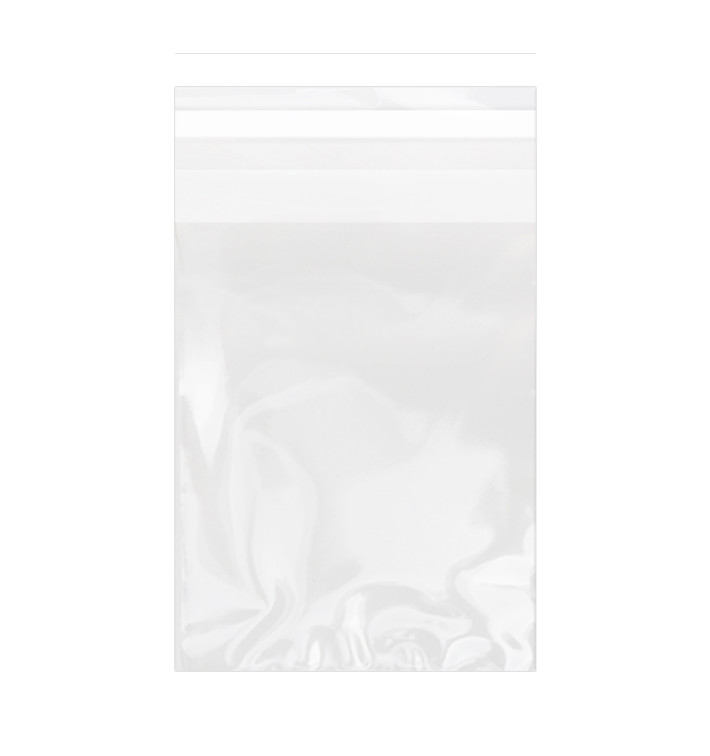 Plastic Bag with Adhesive Flap Cellophane 15x22cm G-160 (100 Units)  