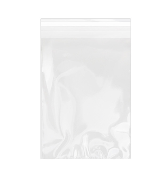 Plastic Bag with Adhesive Flap Cellophane 18x25cm G-160 (100 Units)  