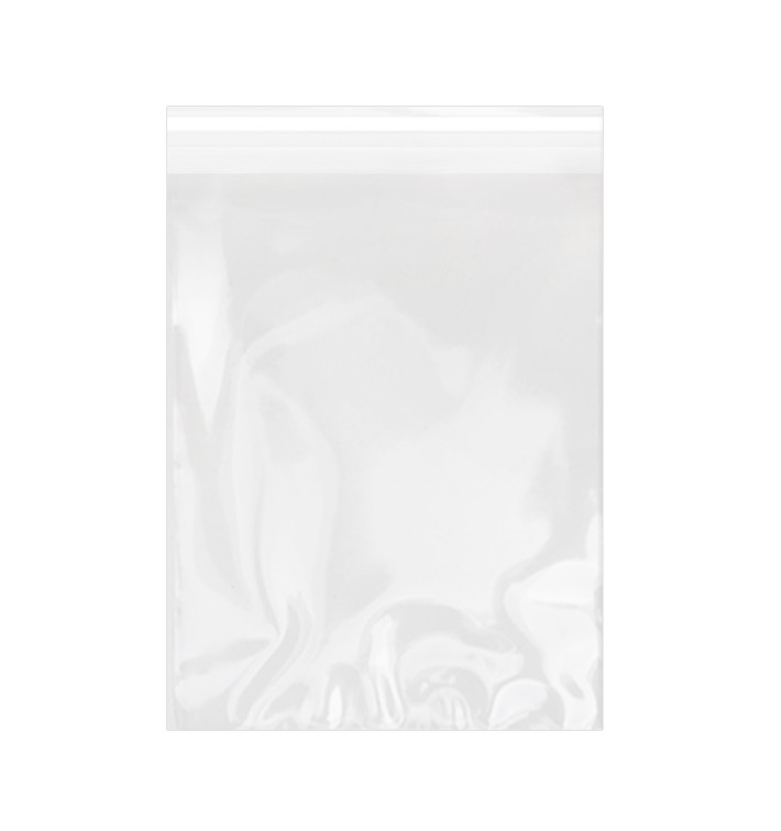 Plastic Bag with Adhesive Flap Cellophane 22x32cm G-160 (100 Units)  