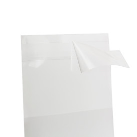 Plastic Bag with Adhesive Flap Cellophane 5,5x5,5cm G-160 (1000 Units)