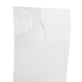 Plastic Bag with Adhesive Flap Cellophane 8x12cm G-160 (100 Units)  