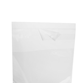 Plastic Bag with Adhesive Flap Cellophane 10x15cm G-160 (100 Units)  